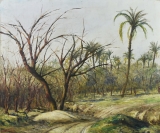 AgrandarImgen