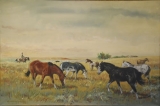 AgrandarImgen