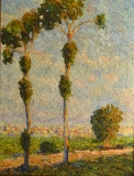 AgrandarImgen