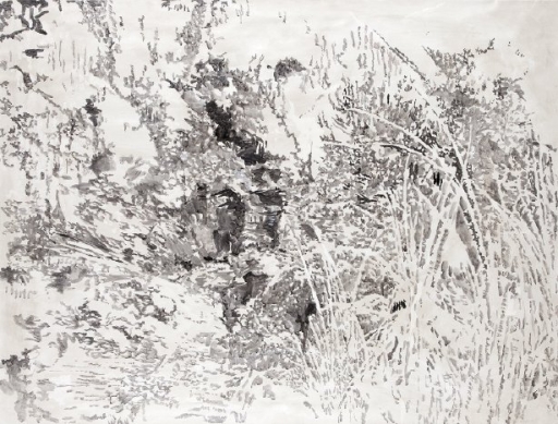 AgrandarImgen
