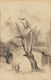 AgrandarImgen