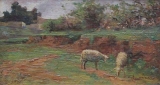 AgrandarImgen
