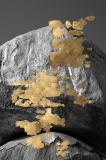 AgrandarImgen