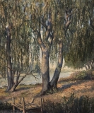 AgrandarImgen