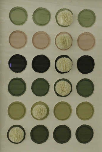 AgrandarImgen