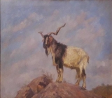 AgrandarImgen