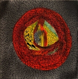 AgrandarImgen