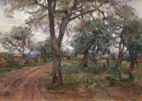 AgrandarImgen