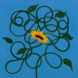 AgrandarImgen