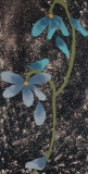 AgrandarImgen