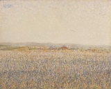 AgrandarImgen