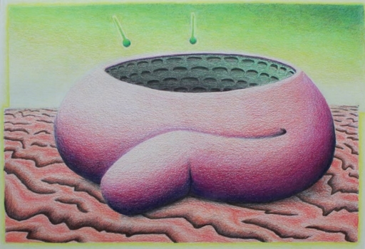 AgrandarImgen