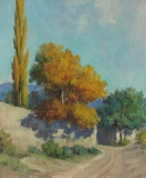 AgrandarImgen