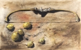 AgrandarImgen