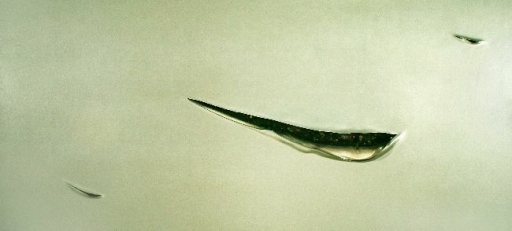 AgrandarImgen