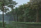 AgrandarImgen