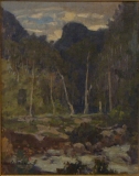 AgrandarImgen