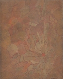 AgrandarImgen