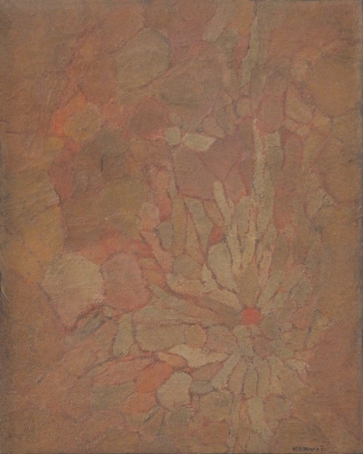 AgrandarImgen