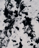 AgrandarImgen