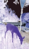 AgrandarImgen