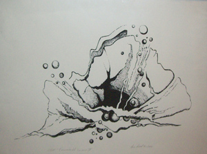 AgrandarImgen