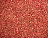 AgrandarImgen