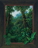 AgrandarImgen
