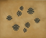 AgrandarImgen