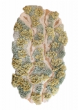 AgrandarImgen