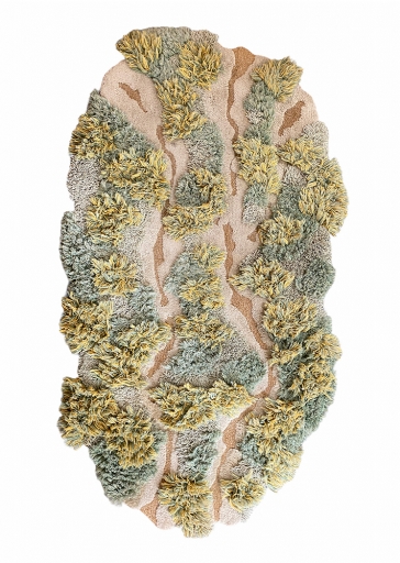AgrandarImgen