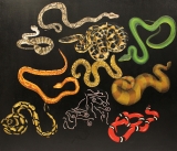 AgrandarImgen