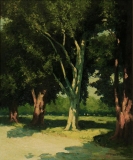 AgrandarImgen