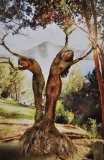 AgrandarImgen