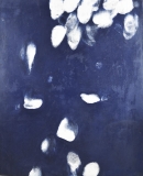 AgrandarImgen