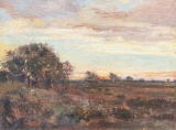 AgrandarImgen