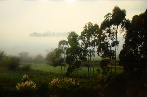 AgrandarImgen