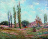 AgrandarImgen