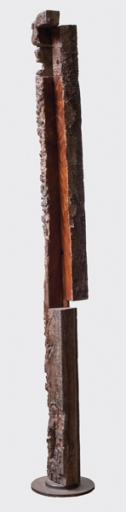 AgrandarImgen