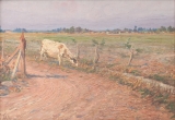 AgrandarImgen