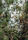 AgrandarImgen