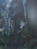 AgrandarImgen