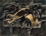 AgrandarImgen