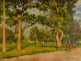 AgrandarImgen