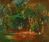 AgrandarImgen