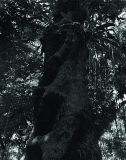 AgrandarImgen