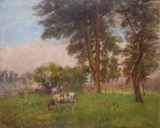 AgrandarImgen
