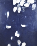 AgrandarImgen