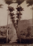 AgrandarImgen