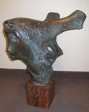 AgrandarImgen